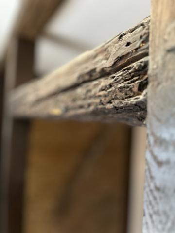 Detail EG
