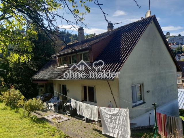 Haus Gartenseite 1 