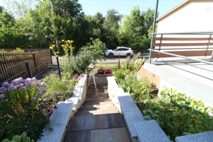Garten (1)