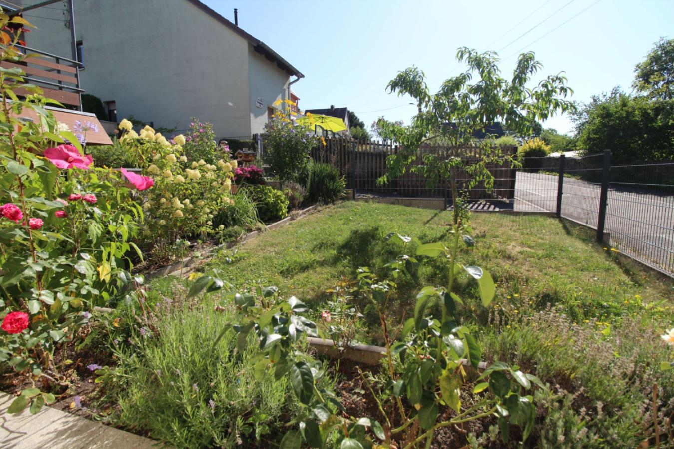 Garten (4)