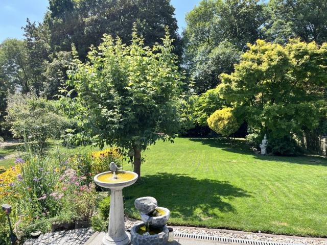 Garten (3)