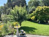 Garten (3)