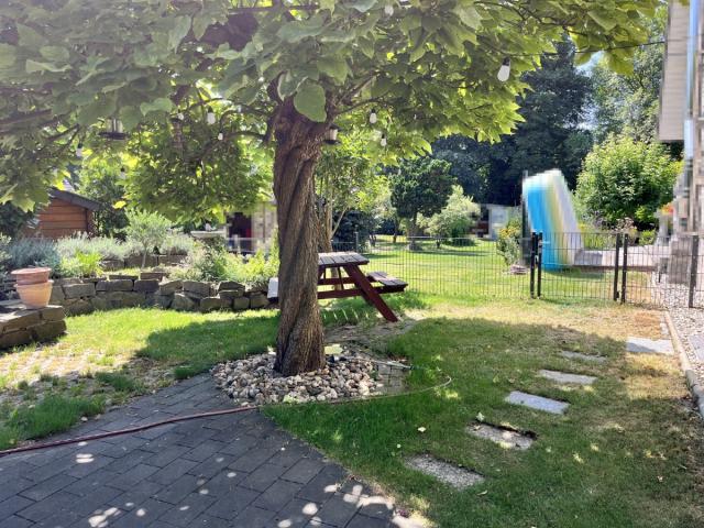 Blick in den Garten
