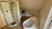 geräumige Dusche und WC-Nische