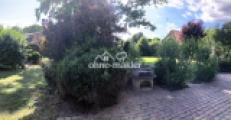 Westterrasse-Südhälfte