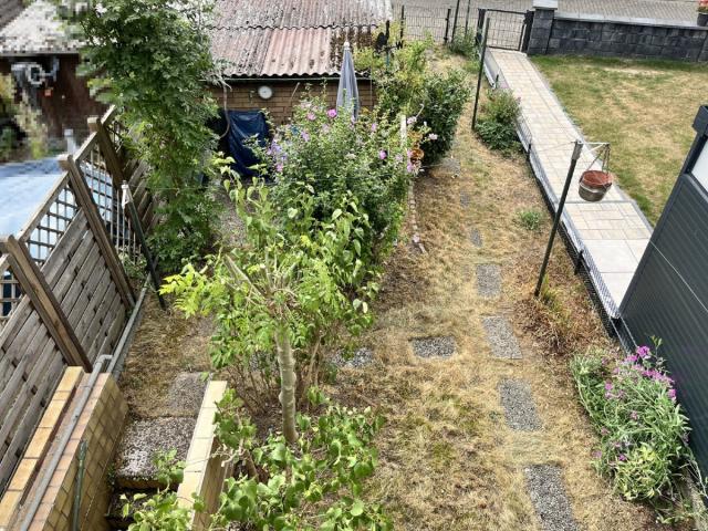 Blick in den Garten