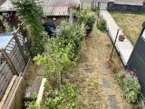 Blick in den Garten