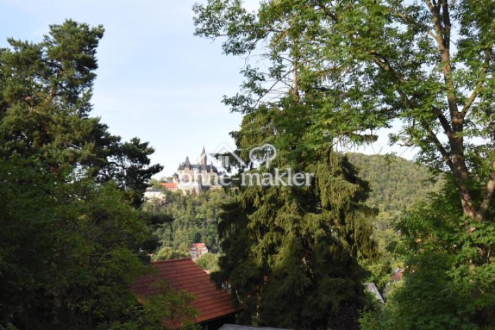 Blick vom Wintergarten 