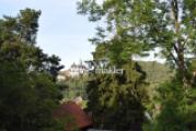 Blick vom Wintergarten 