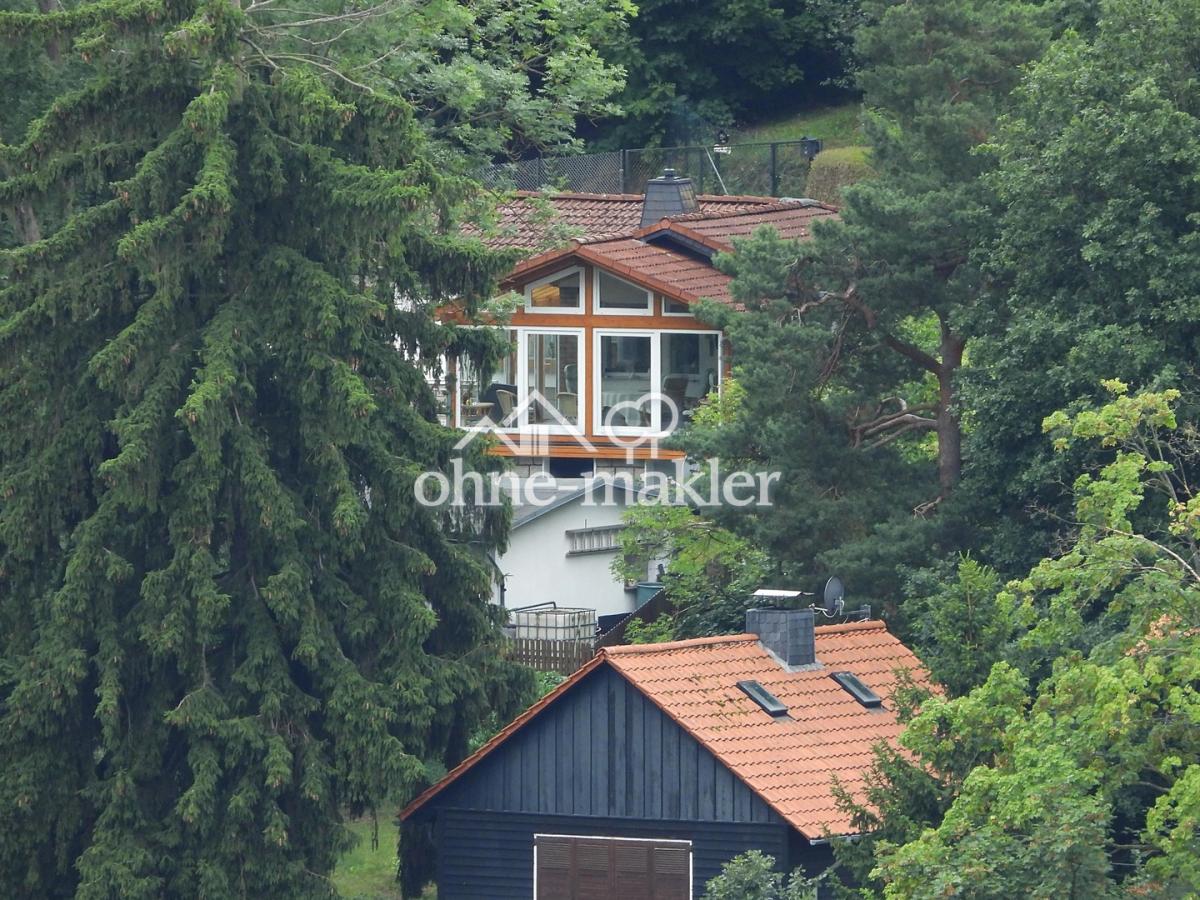 Blick vom Schloß gezoomt