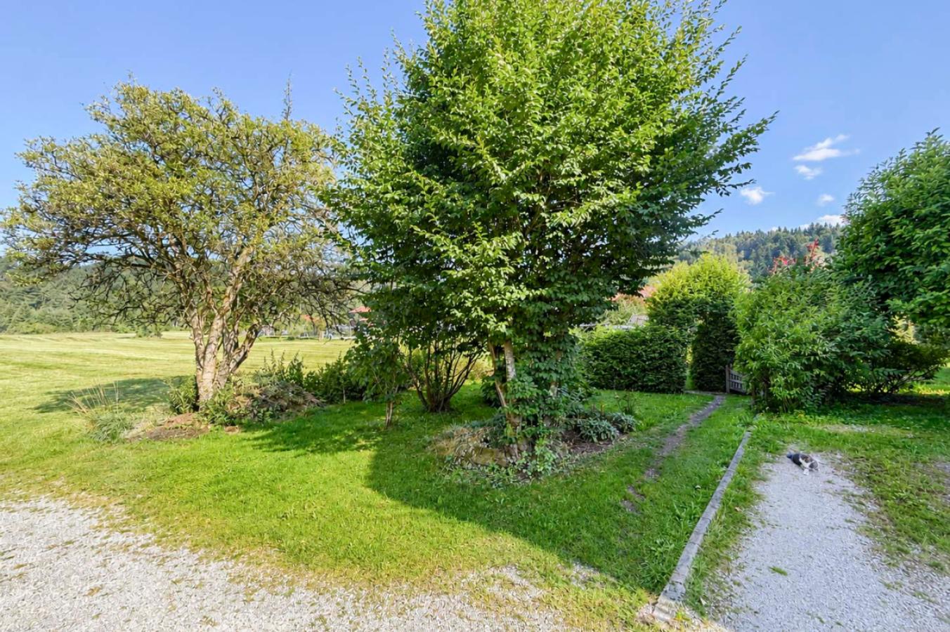 Garten 1
