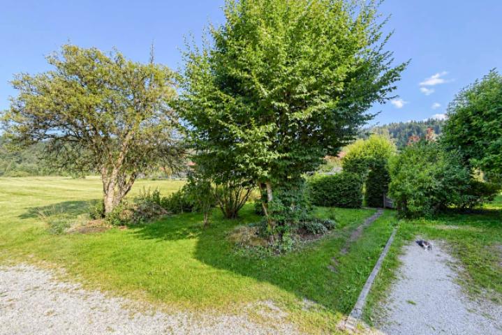 Garten 1