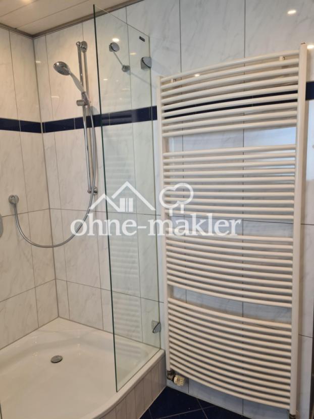 Bad Dusche Heizkörper