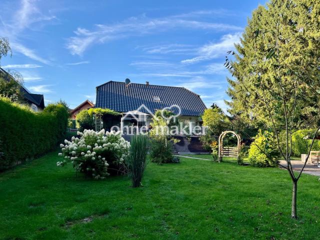 Gesamtblick Garten