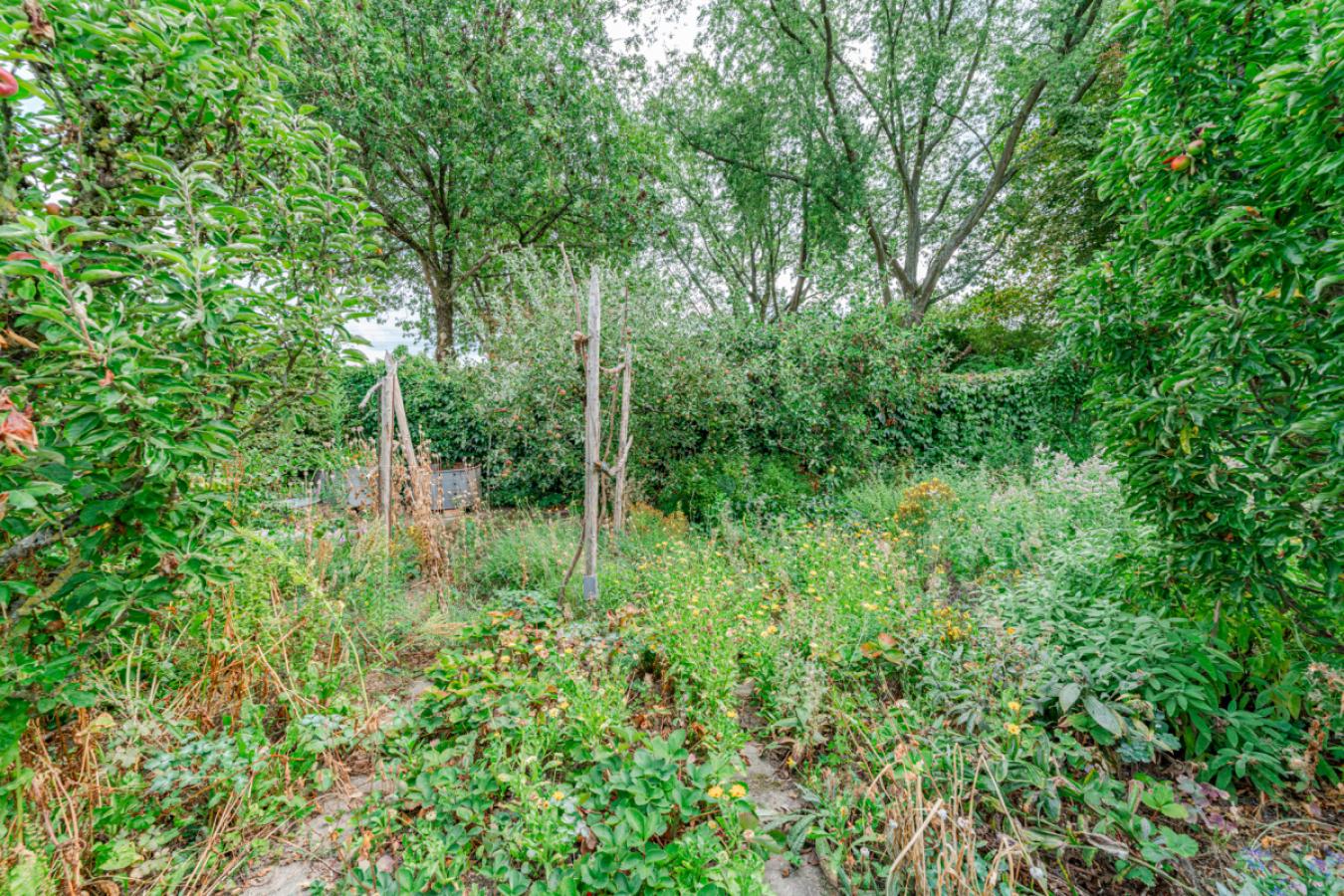 Gartenansichten