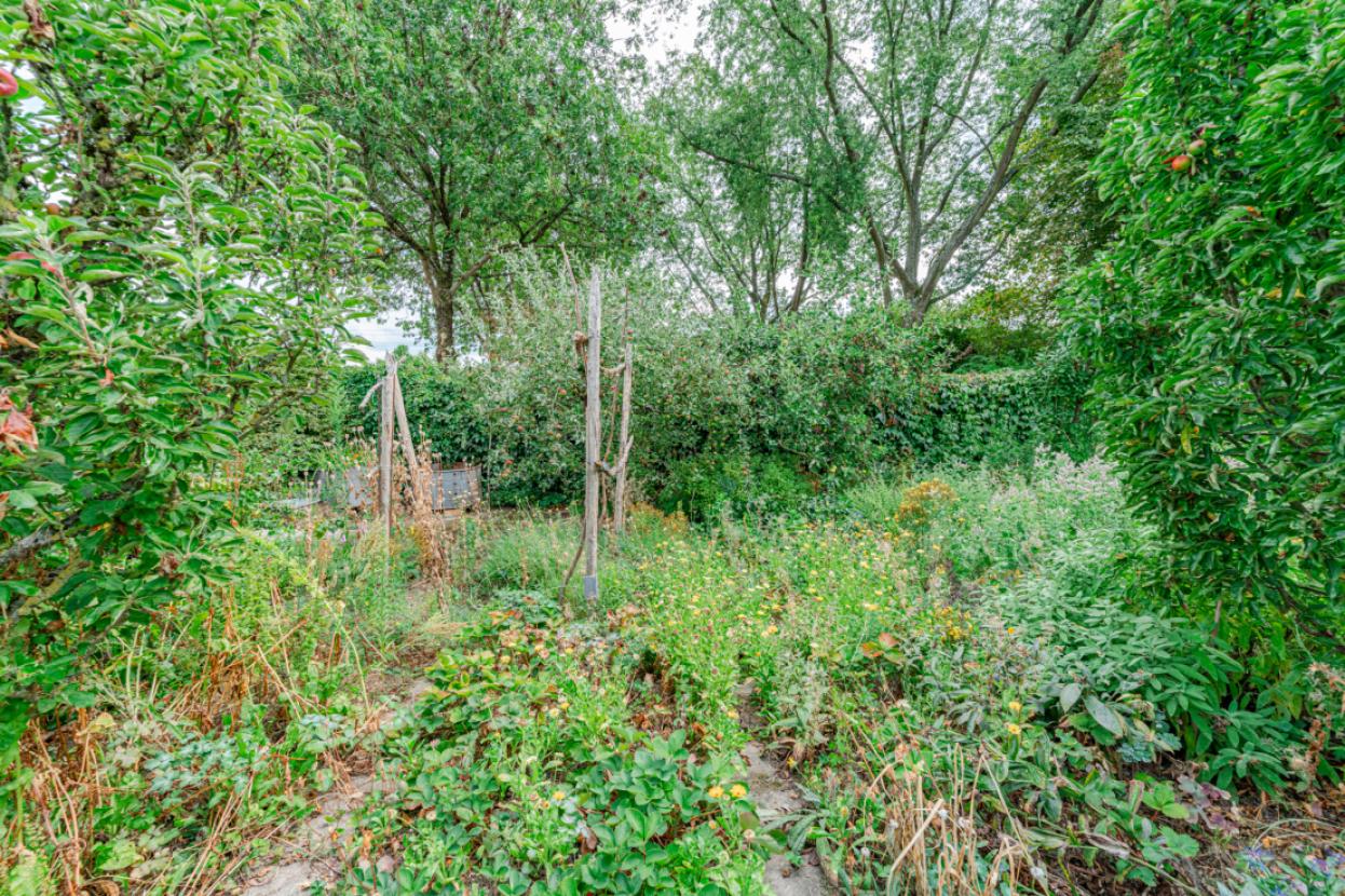 Gartenansichten