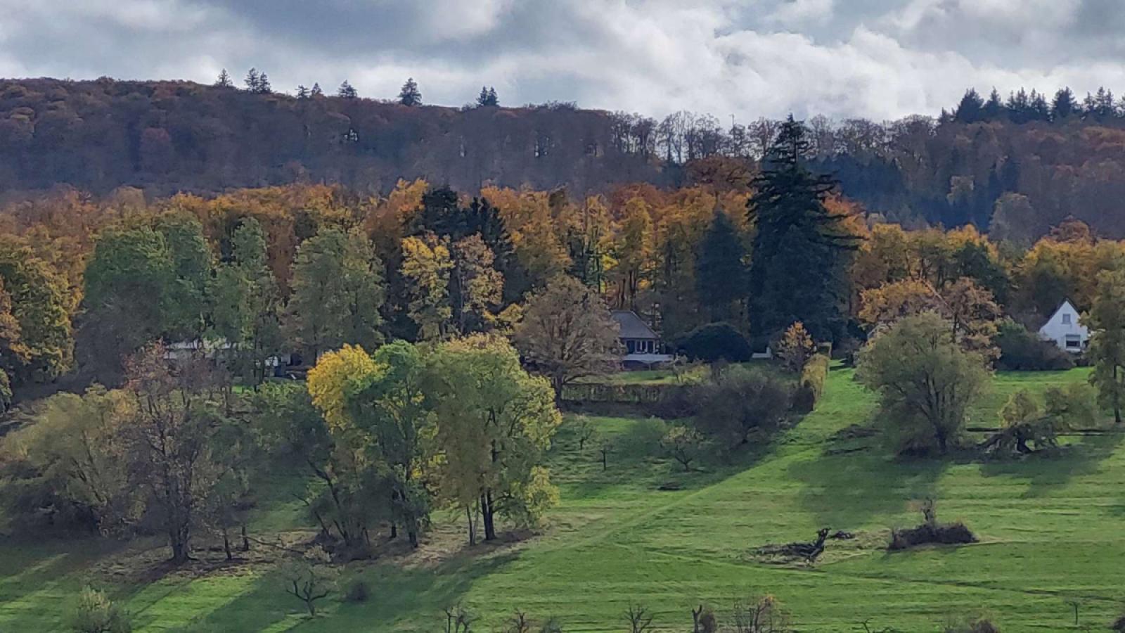 Ausblick