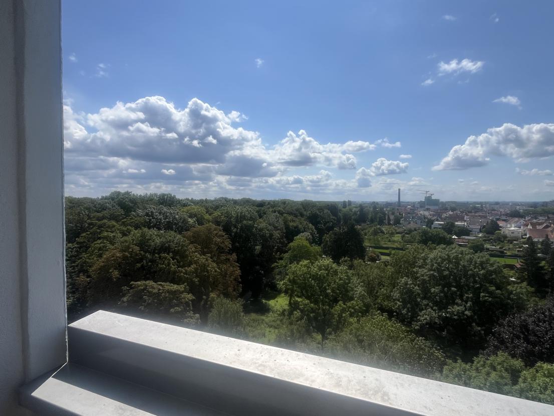 Blick