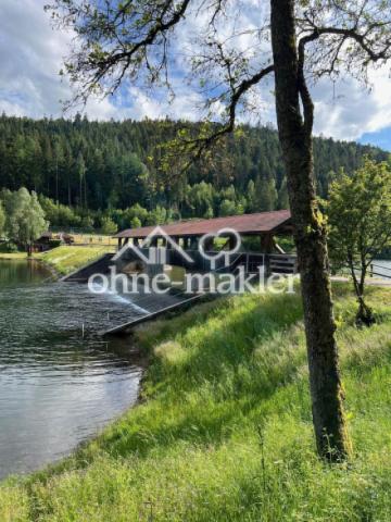 Nagoldtalsperre