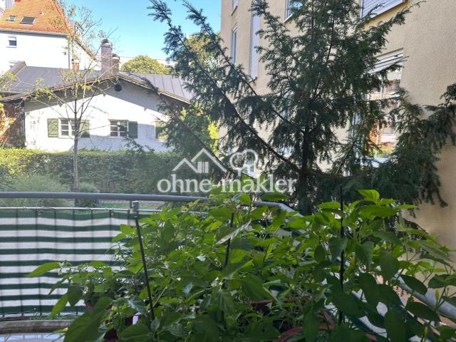 Balkon Blick frontal