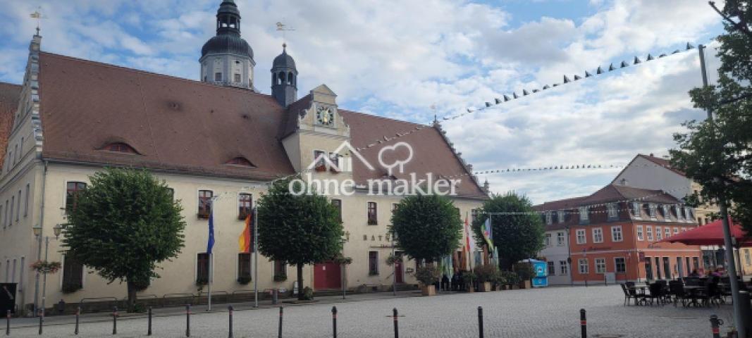 Rathaus Herzberg Elster 