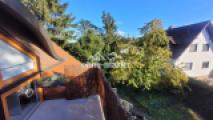 Blick in den Garten