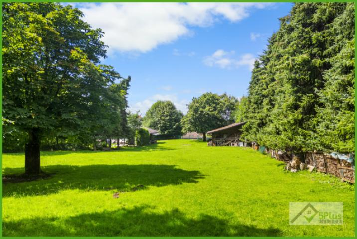 5Plus Immo ehem. Vierkanthof Geilenkirchen Leiffarth Garten Einfamilienhaus