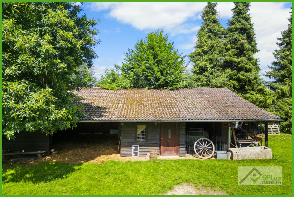 5Plus Immo ehem. Vierkanthof Geilenkirchen Leiffarth Garten Einfamilienhaus