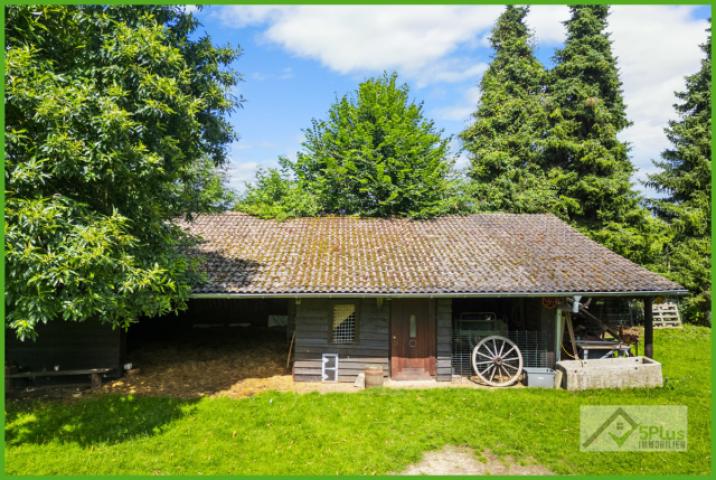 5Plus Immo ehem. Vierkanthof Geilenkirchen Leiffarth Garten Einfamilienhaus