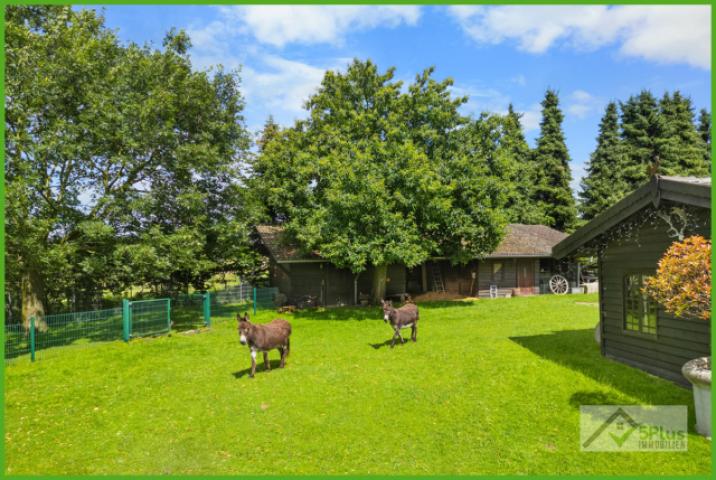 5Plus Immo ehem. Vierkanthof Geilenkirchen Leiffarth Garten Einfamilienhaus
