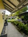 Hauseingang EG und Patio