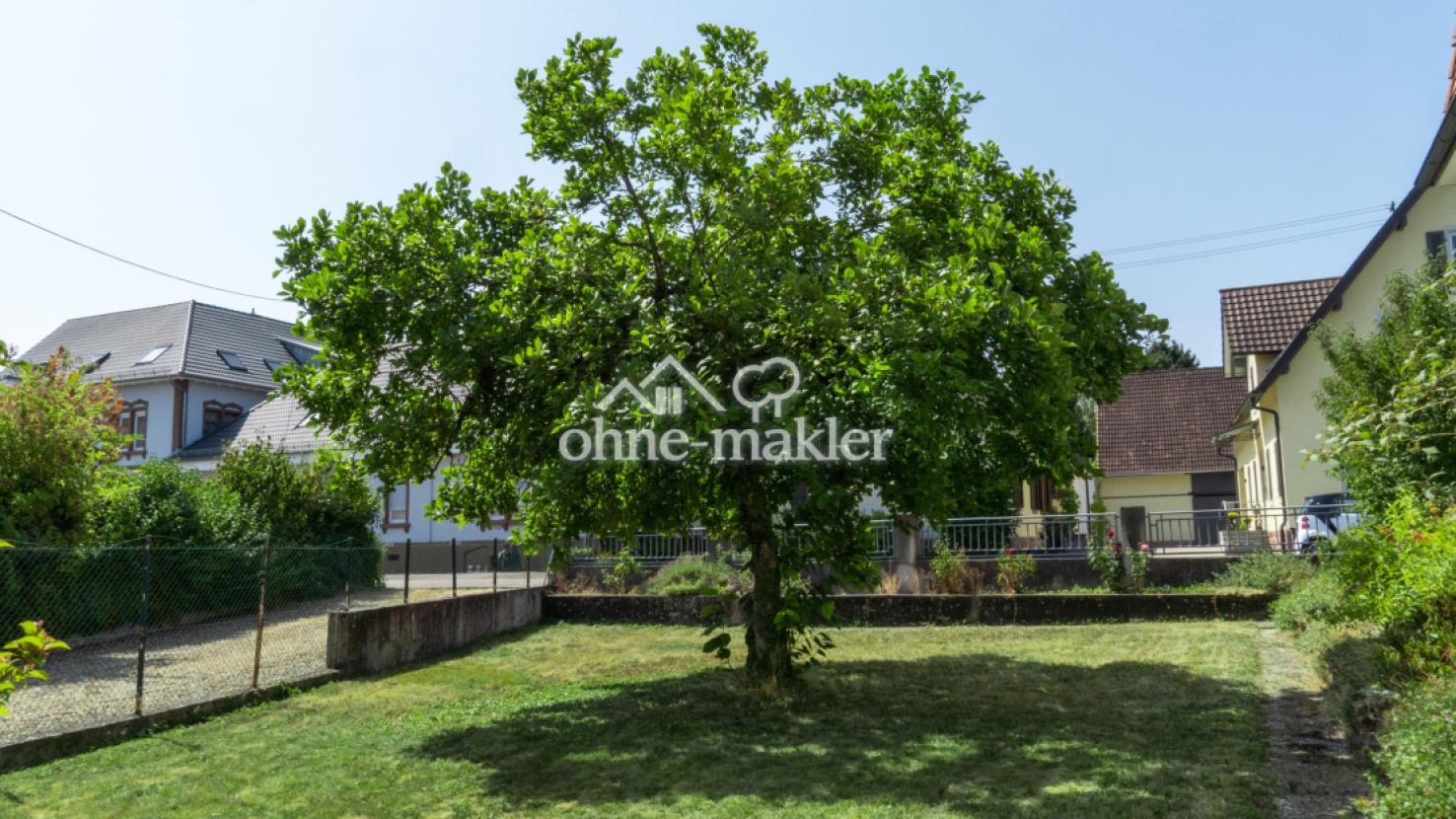 Kleiner vorderer Garten
