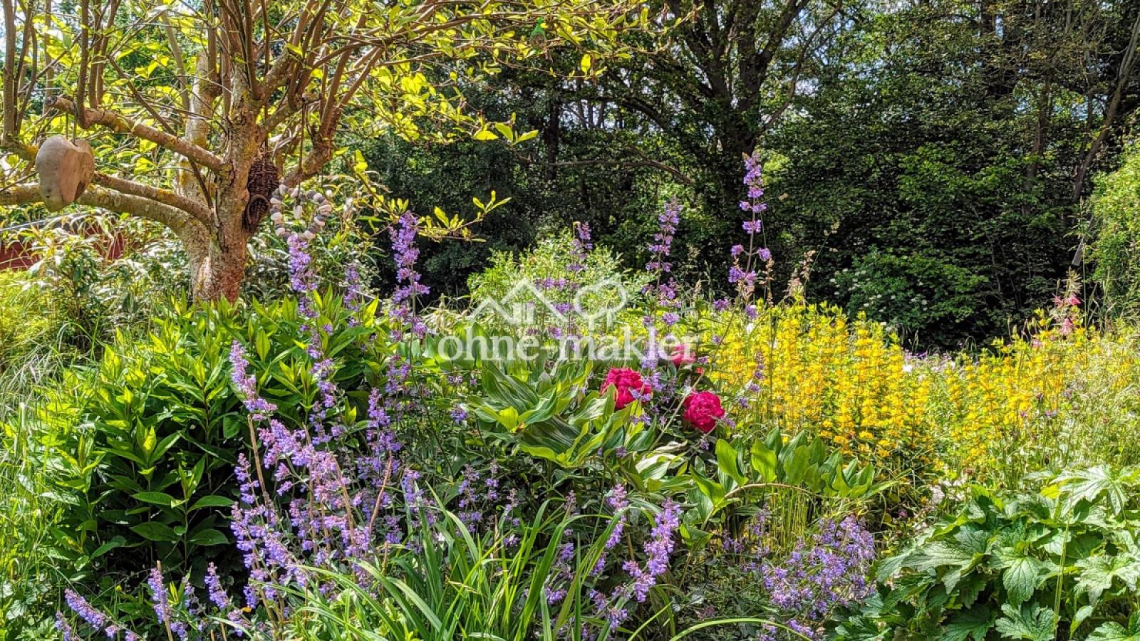 Garten Impressionen