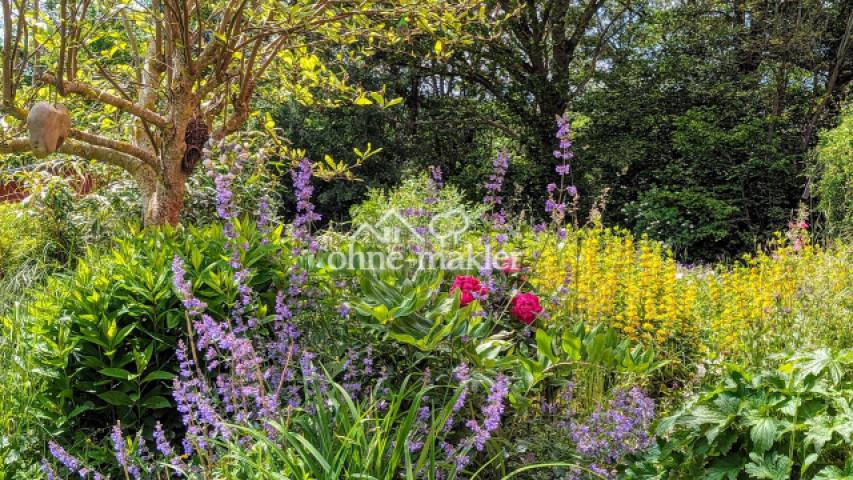 Garten Impressionen