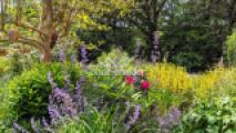 Garten Impressionen