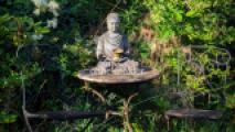 Garten Impressionen
