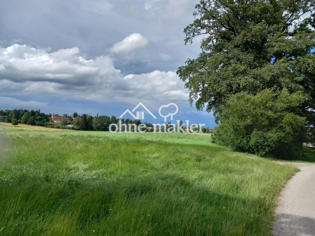 Umgebung