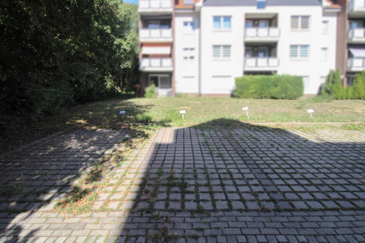 PKW-Stellplatz