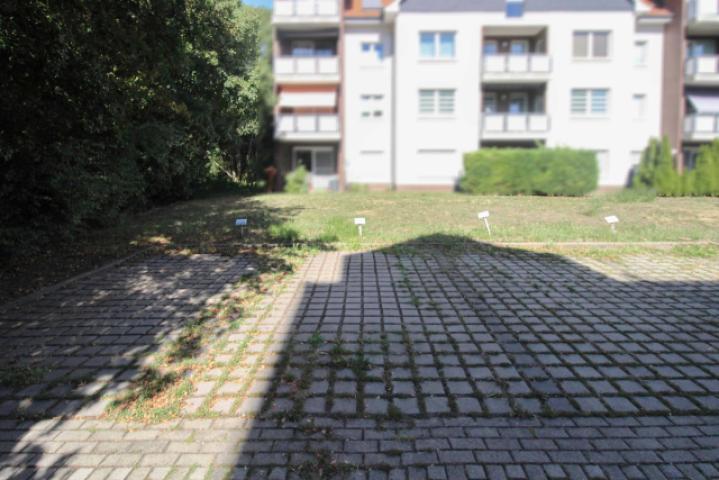 PKW-Stellplatz