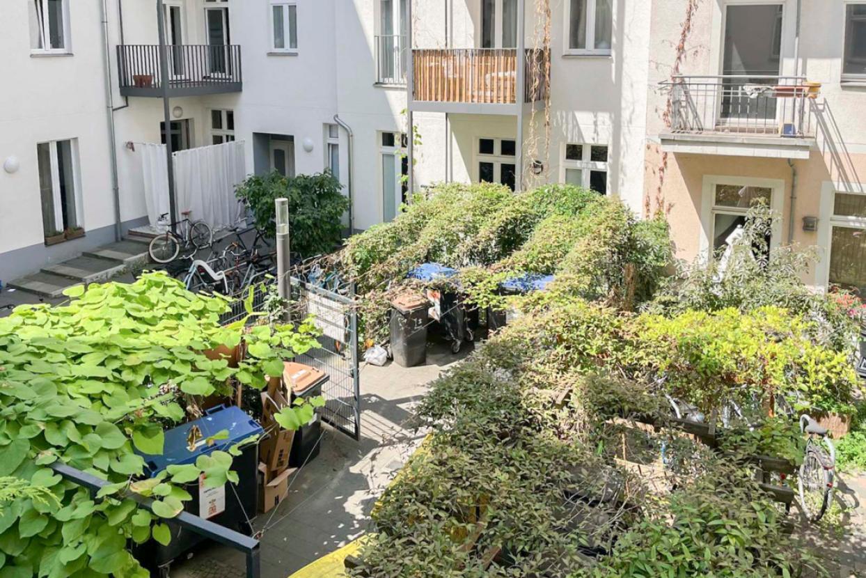 Blick in den Hinterhof