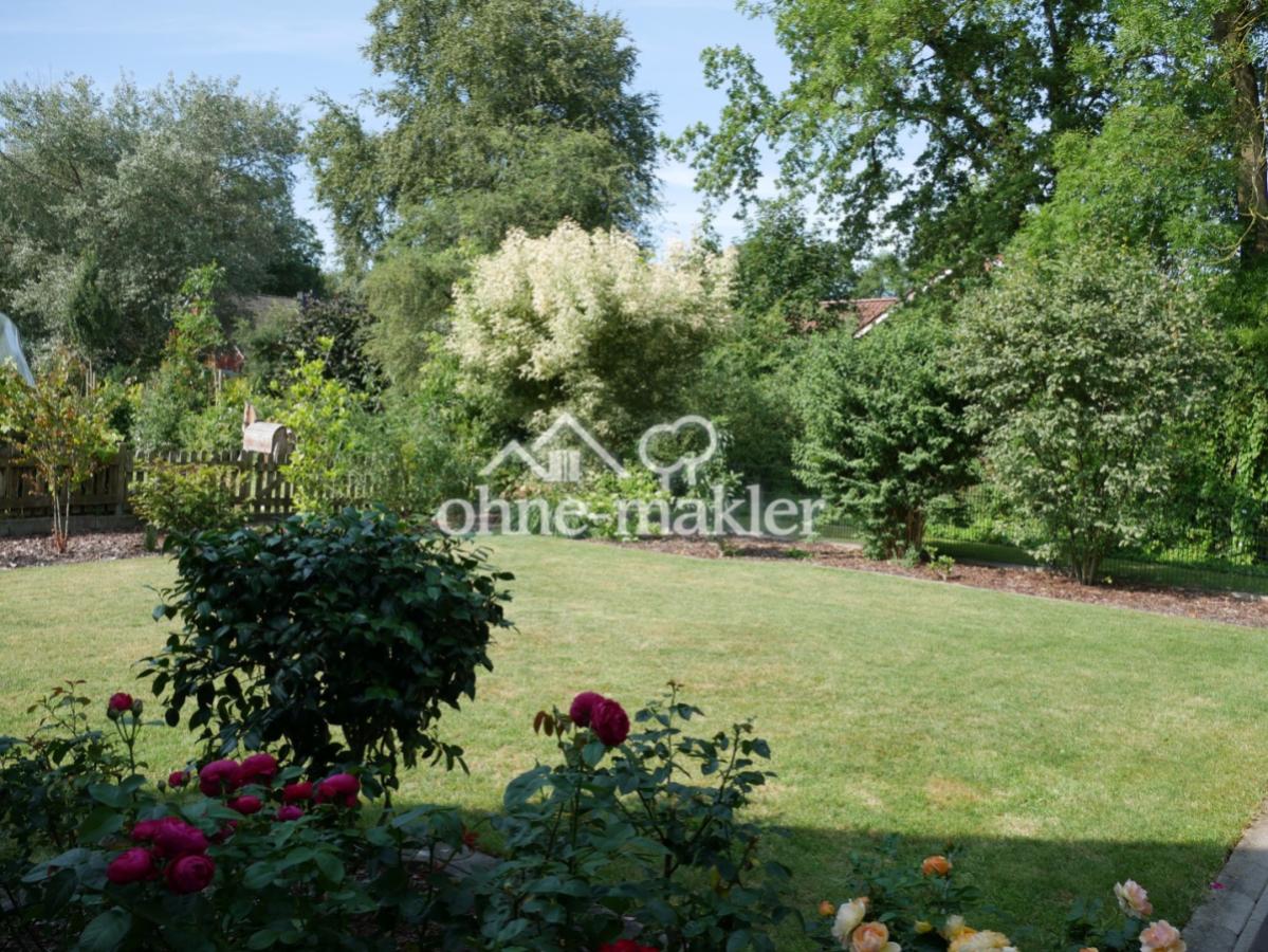 Blick in den Garten