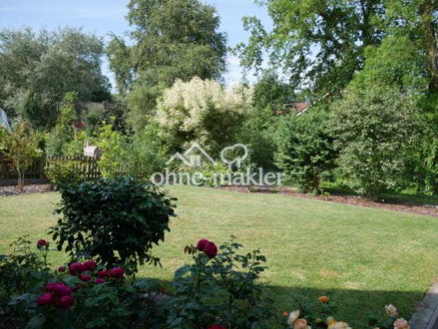 Blick in den Garten
