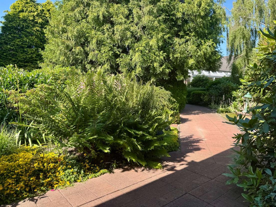 Garten