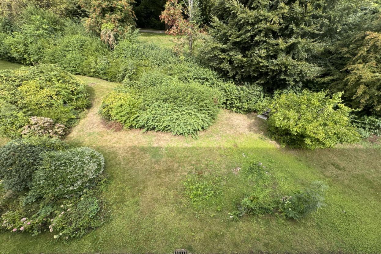 Gemeinschaftsgarten