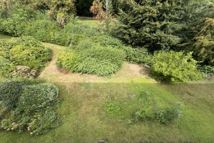 Gemeinschaftsgarten