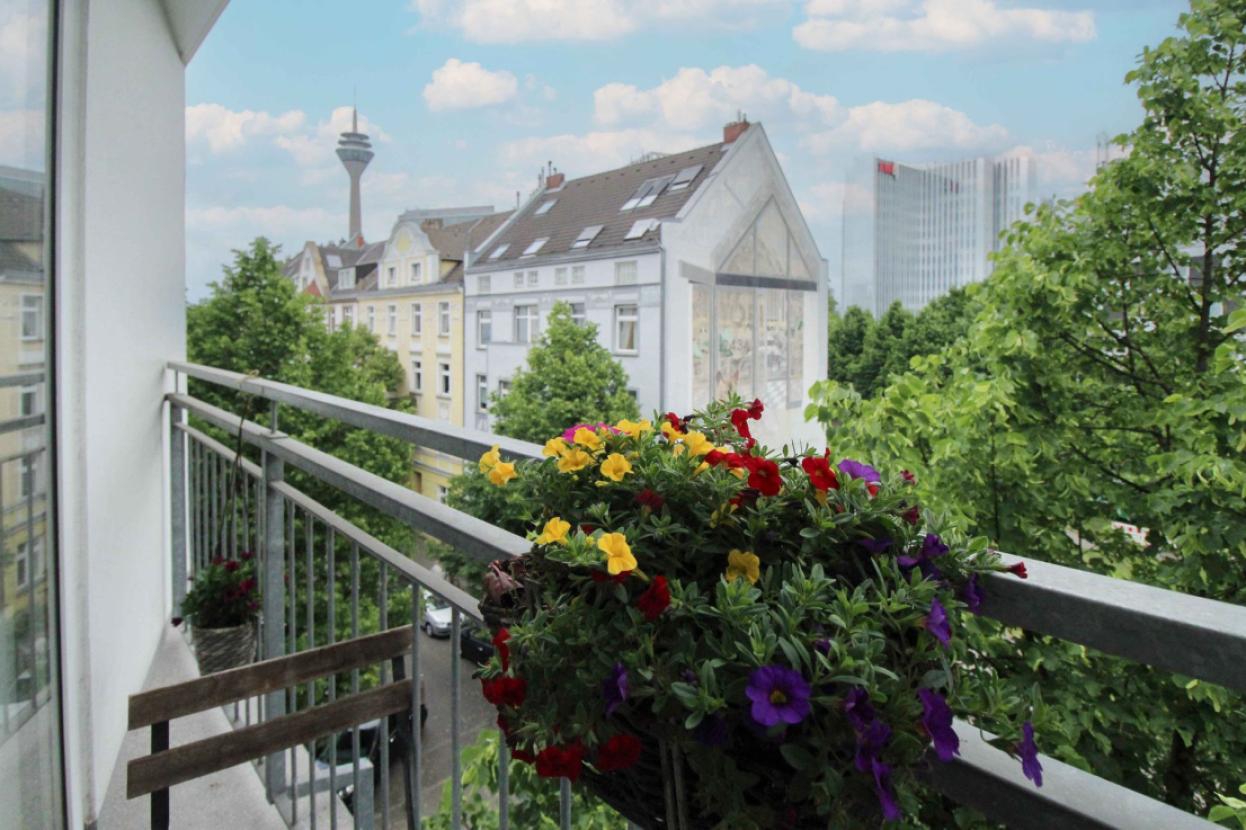 Ausblick