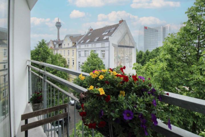 Ausblick