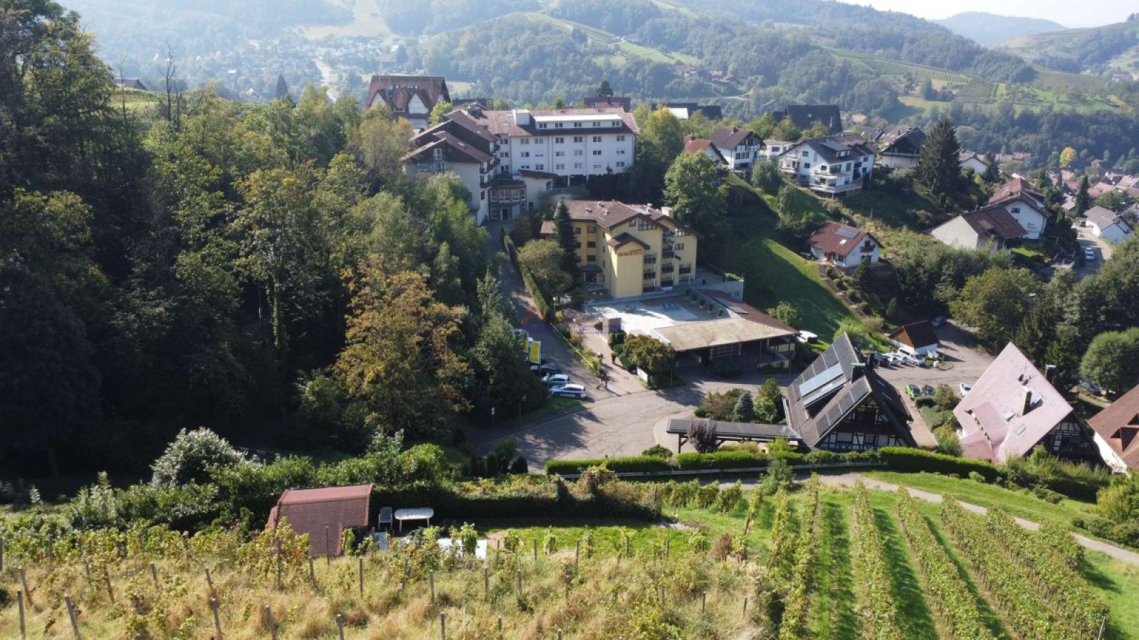 Blick auf die Residence aus den Weinbergen