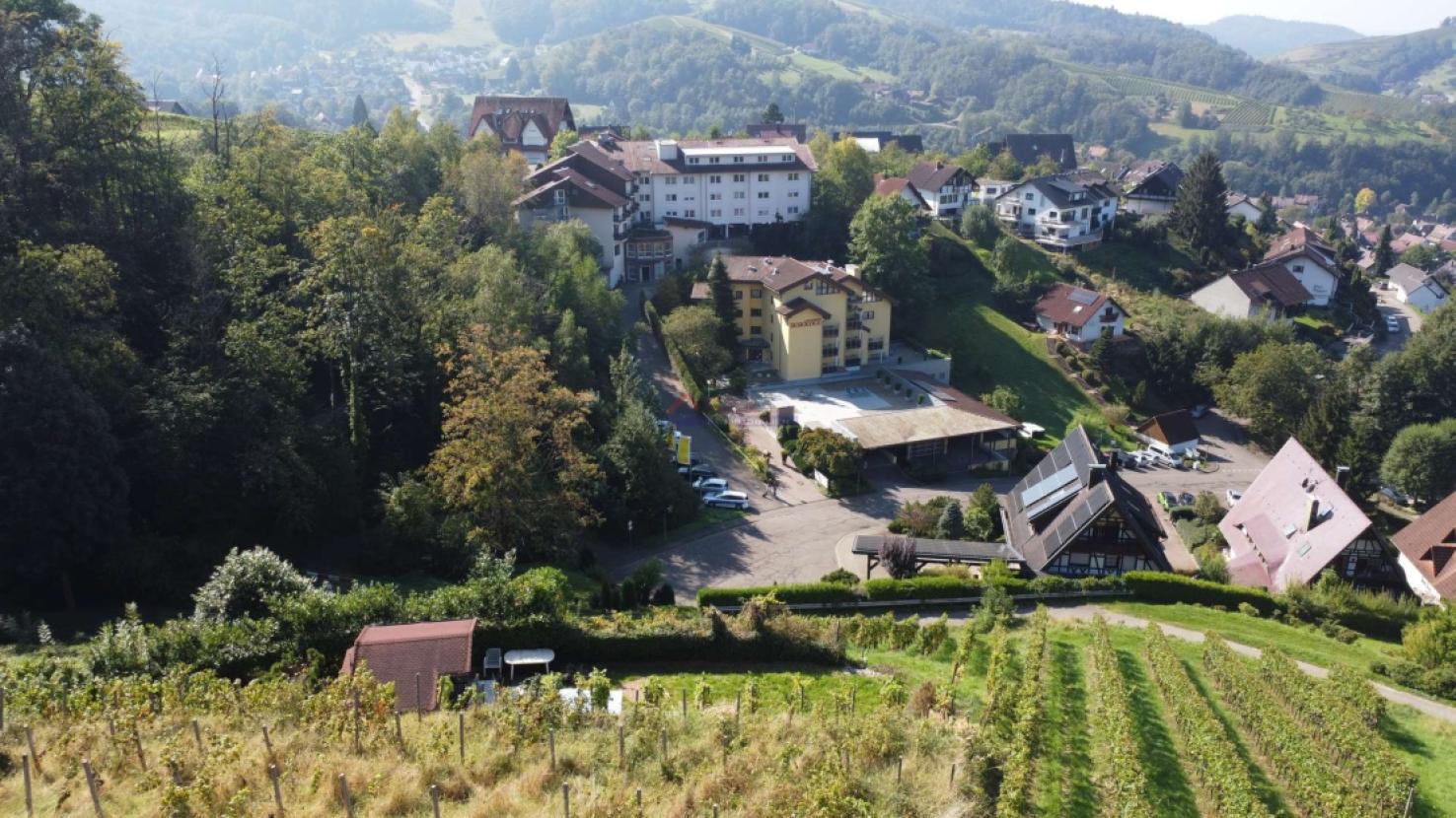 Blick auf die Residence aus den Weinbergen
