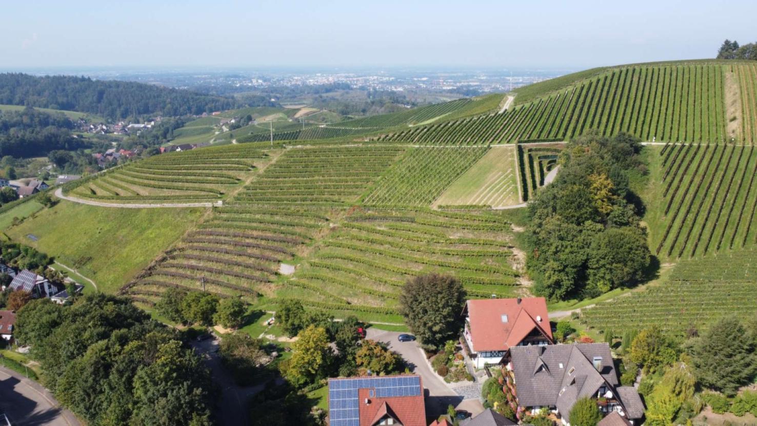 Blickrichtung Strassburg